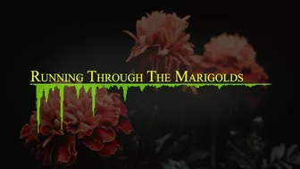 Running Through the Marigolds (Official Music Video).