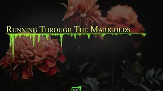 Running Through the Marigolds (Official Music Video).