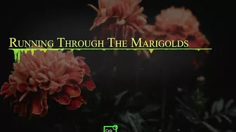 Running Through the Marigolds (Official Music Video).