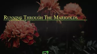 Running Through the Marigolds (Official Music Video).