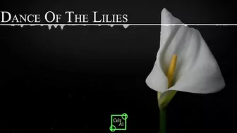 Dance of the Lilies (Official Music Video).