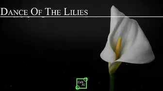 Dance of the Lilies (Official Music Video).