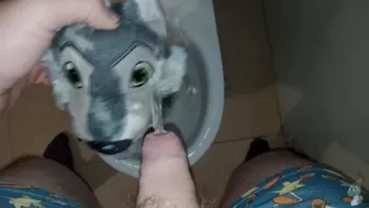 Wolf Peeing#1