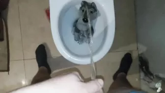 Wolf Peeing#1