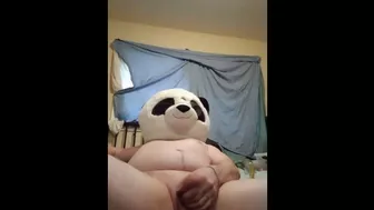 Perverted panda jerks off while I'm at work