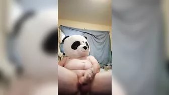 Perverted panda jerks off while I'm at work