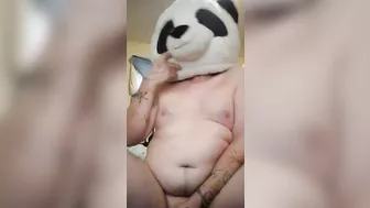 Masterbating panda breaks in my home uses all my lube