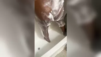 Ebony scrubbing her DDD tits and big ass