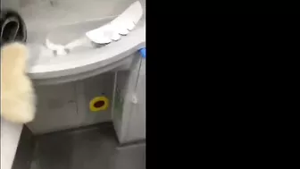 CoupleConspiracy Fuck in Train Toilet