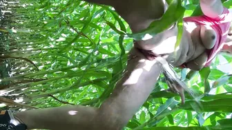 squirt break while hiking in a corn field