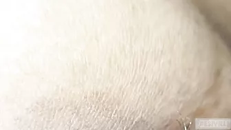 Real Desi Bhabi Close Up Fuck