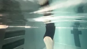 cutie swims in the pool