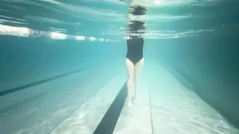 cutie swims in the pool