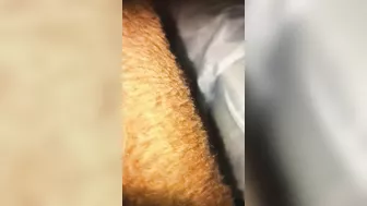 Doggy style close up upskirt dripping wet pussy