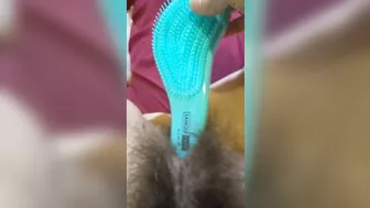 OnlyFan Tipped me to Fuck My Hairy Pussy Gspot LIVE Made in China HAIR BRUSH so I made a Video Too