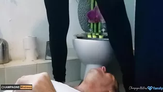 My HUMAN TOILETT SLAVE Takes it all - ChampagneMistress