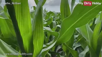 MyDirtyHobby - Slutty Teen Barbie_Brilliant Walks In The Corn Field Looking For A Nice Cock To Ride