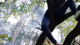 Girl climbed a tree to rub her pussy on it - Lesbian-illusion