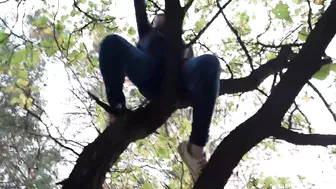 Girl climbed a tree to rub her pussy on it - Lesbian-illusion