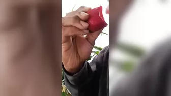 Eating fruit like pussy! Oral sex expert have that pussy leaking