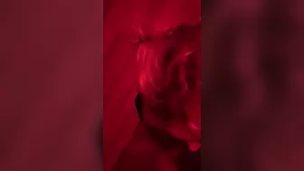 Submissive slut loves when I cum on her face (blowjob & facial)