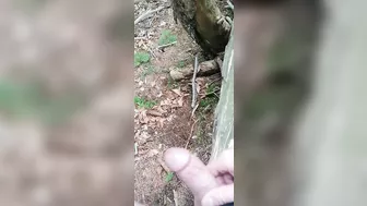 Public Cumshot in the Forest