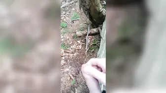 Public Cumshot in the Forest