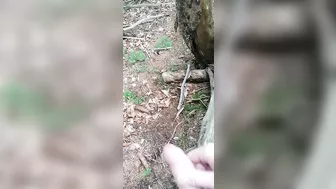 Public Cumshot in the Forest