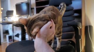 Playing Romantically with a Beloved Pussy .... Starting with careful foreplay.