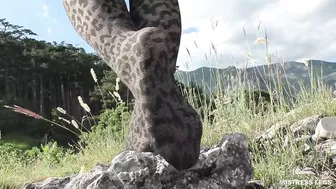 Nylon Goddess Paws Tease On A Summer Sunny Day In The Mountains