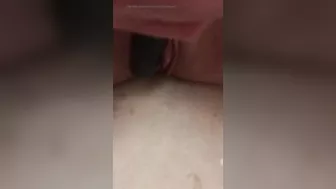 Vibrator in shower