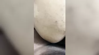 Girl sex with Padosi boy (Ghar per koi nahi thaa ladki ne ajj apni padosh ke ladke se chut marvai )