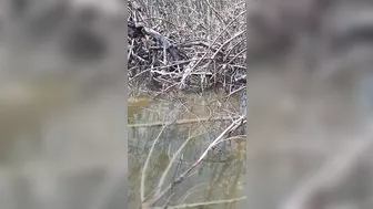 Blowjob while fishing is a must