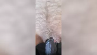 Wet hairy milf pussy.