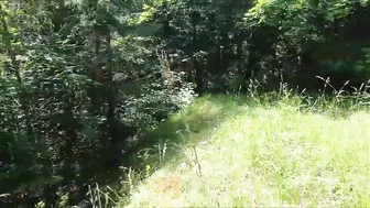 Another surprise blowjob in the forest