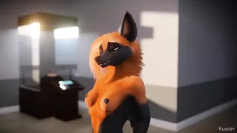 Furry Video P156