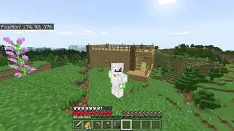 Minecraft Episode 4: OOPS