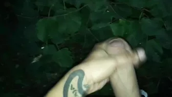 Edging jerking edging jerking cumshot outdoor