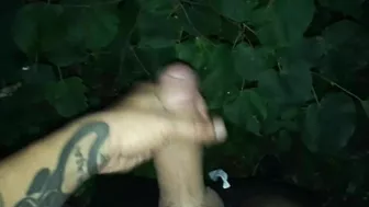 Edging jerking edging jerking cumshot outdoor