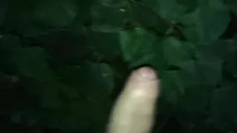 Edging jerking edging jerking cumshot outdoor