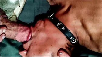 eager kitten gets her throat stretched by a thick cock while wearing collar