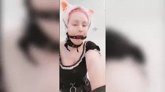 Fox maid bandage solo