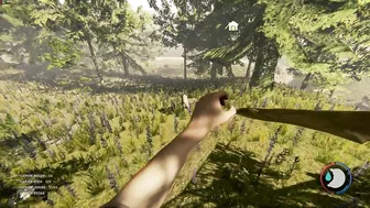 The Forest Gameplay