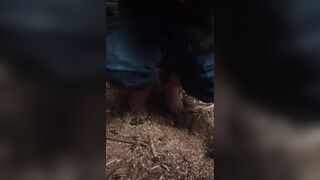 Lady P plays pony and pisses in the barn on her own feet