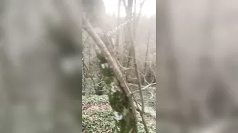 Public Blowjob in forest from big ass Girl