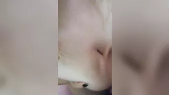 Amateur deepthroat tittyfuck and cumshot pov